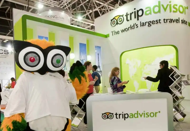 tripadvisor    