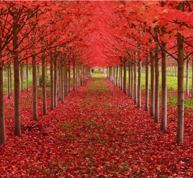 tunnel oregon