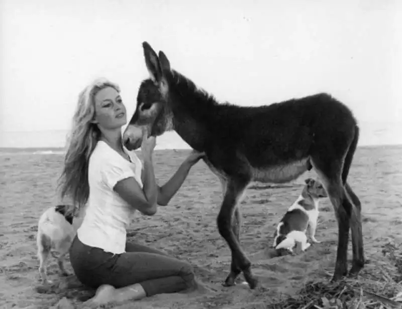 brigitte bardot e i suoi animali