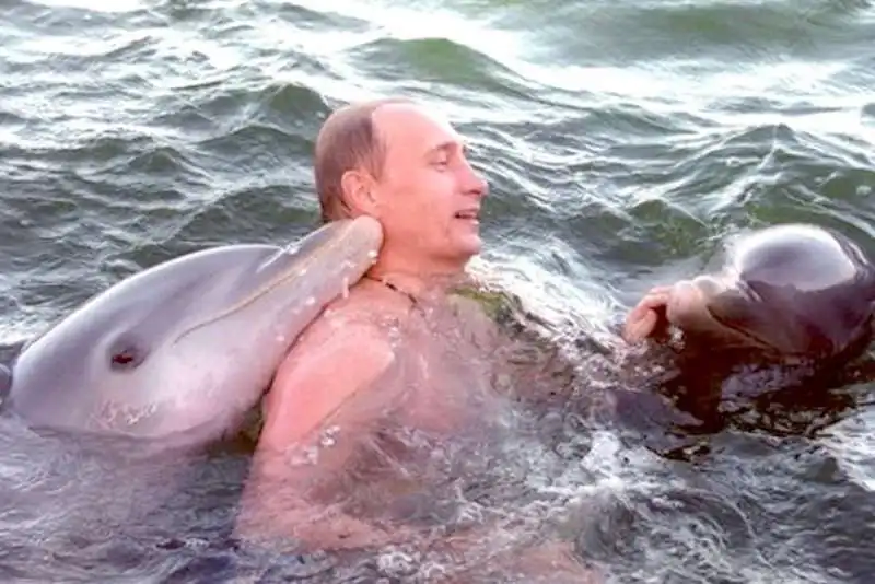 delfini putin