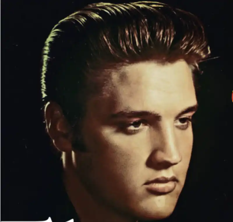 ELVIS