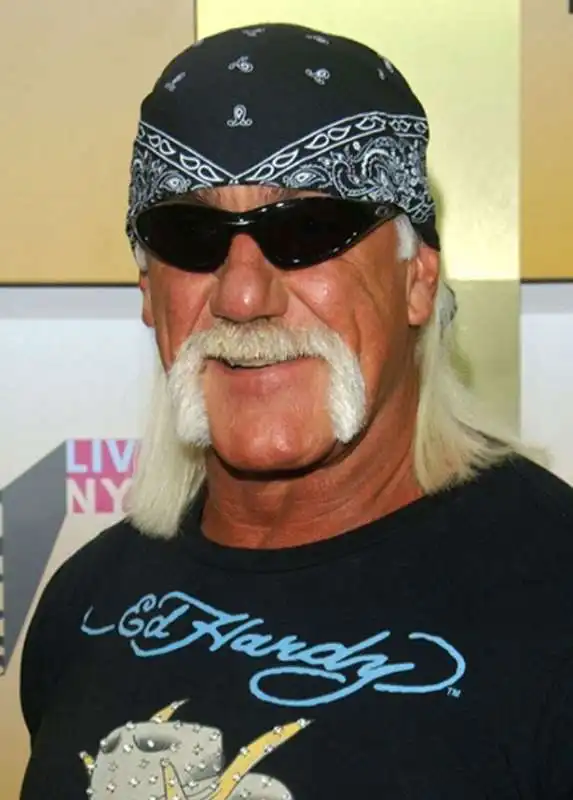 hulk hogan ex wrestler