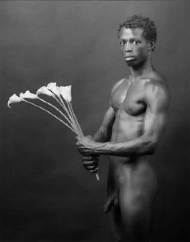 robert mapplethorpe 04f89ef