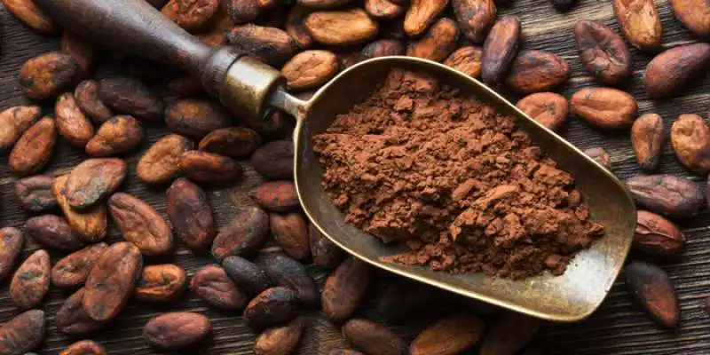 CACAO