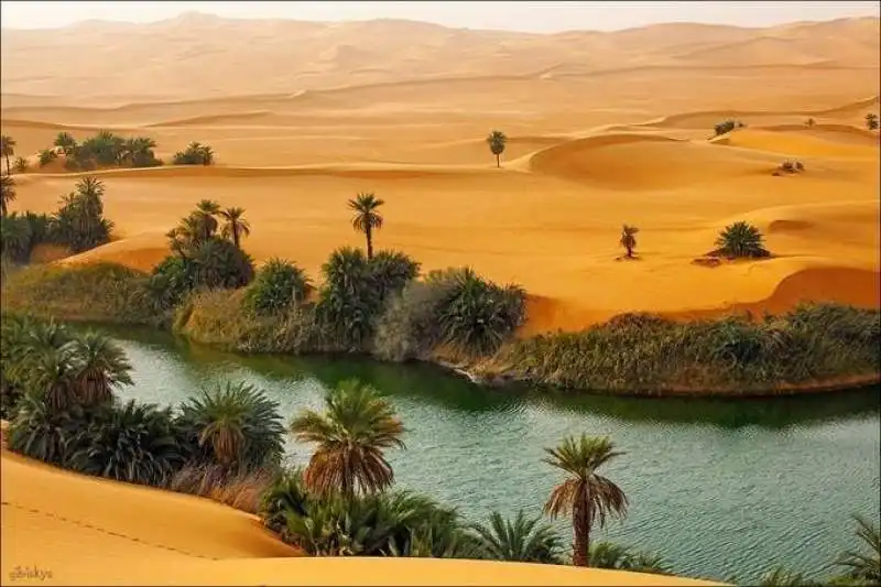 DESERTO LIBIA 2