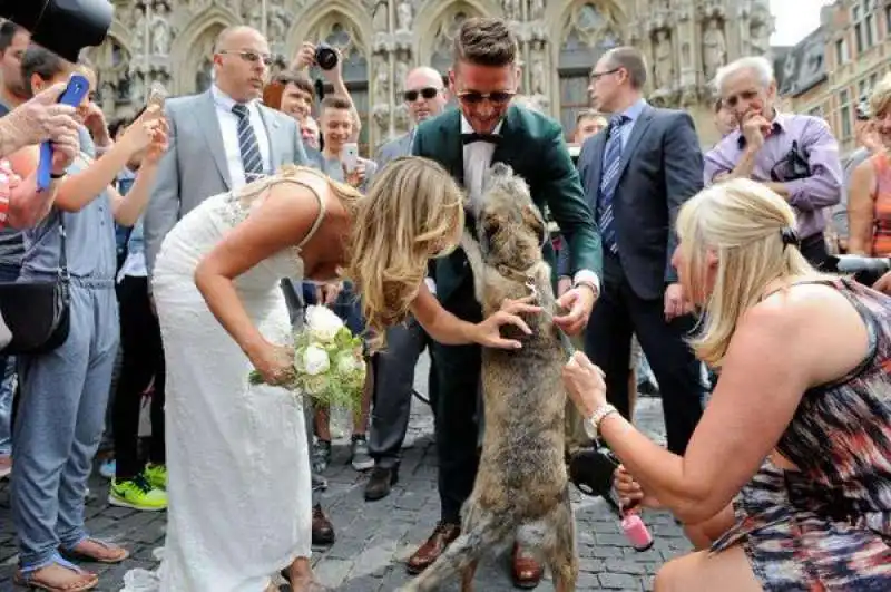 dries   e kat  mertens