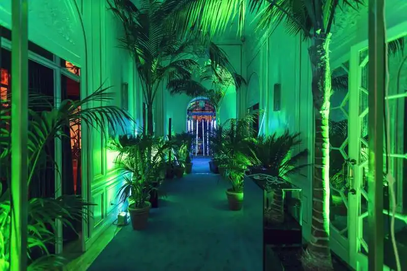 jungle neon hallway