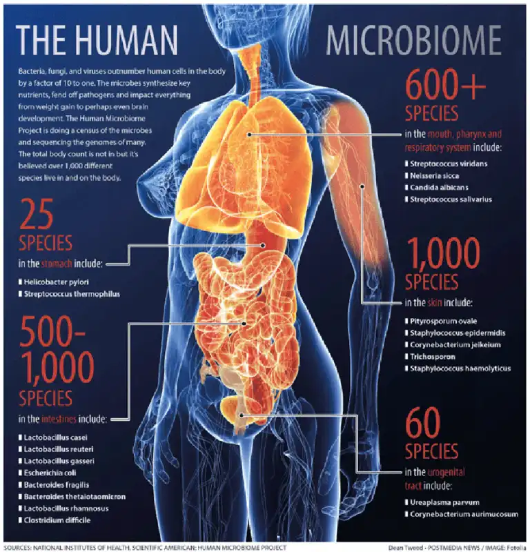 microbioma