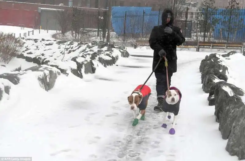 neve a new york brooklyn