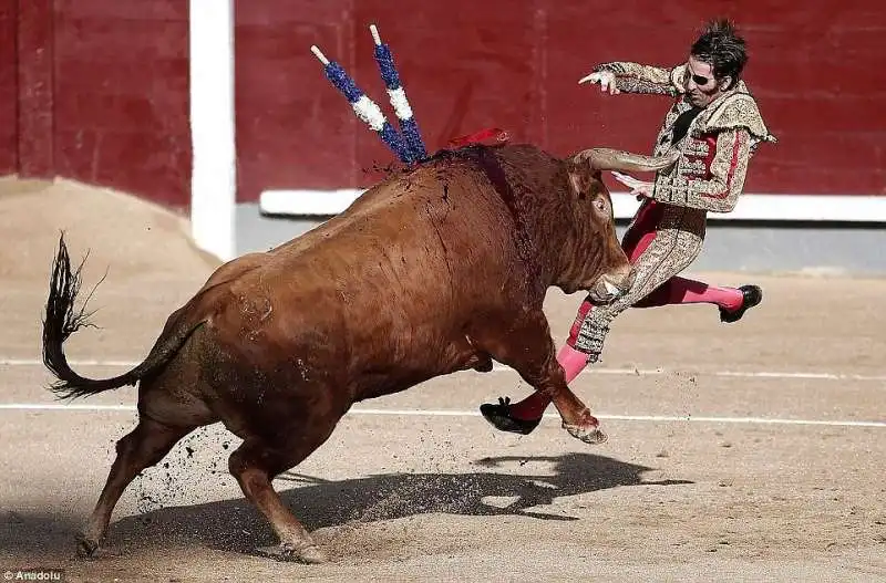 padilla alla corrida