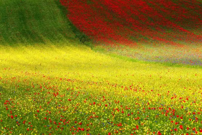 piana di castelluccio di francesco russo