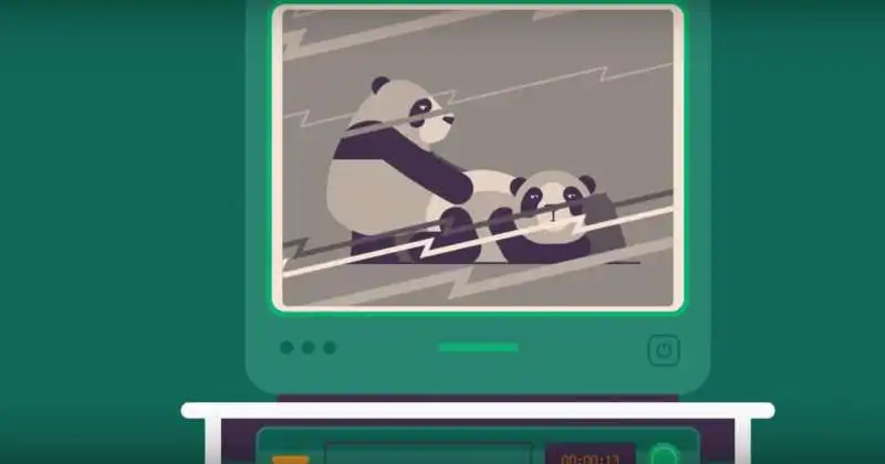 pornhub per la salvezza dei panda