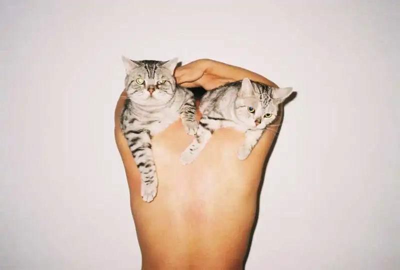 ren hang 7