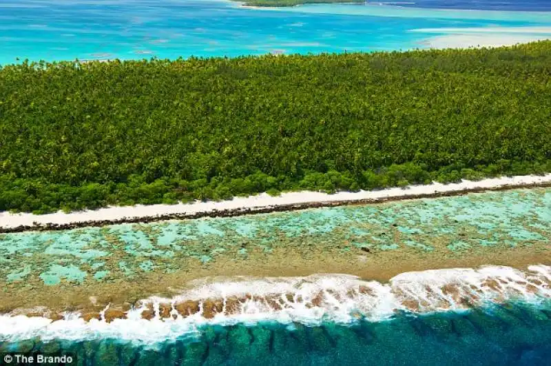 tetiaroa barriera corallina