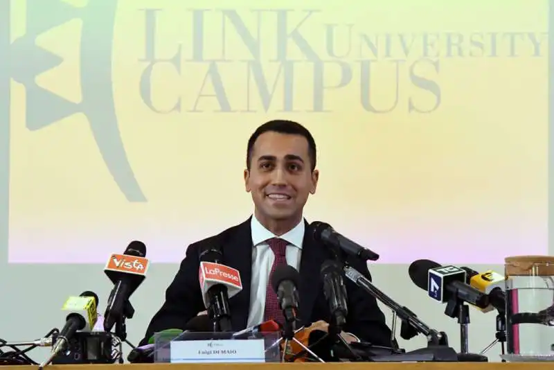 DI MAIO LINK UNIVERSITA