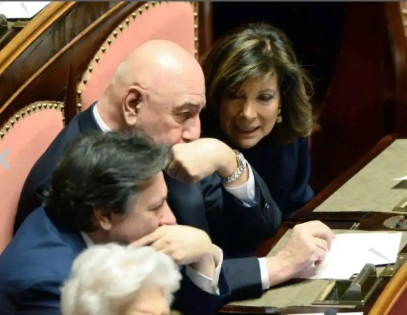 GALLIANI E CASELLATI