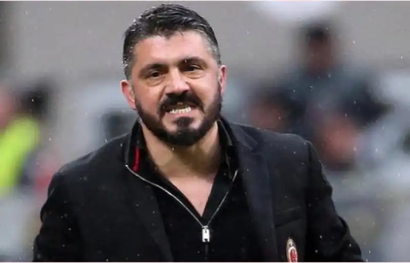 gattuso 