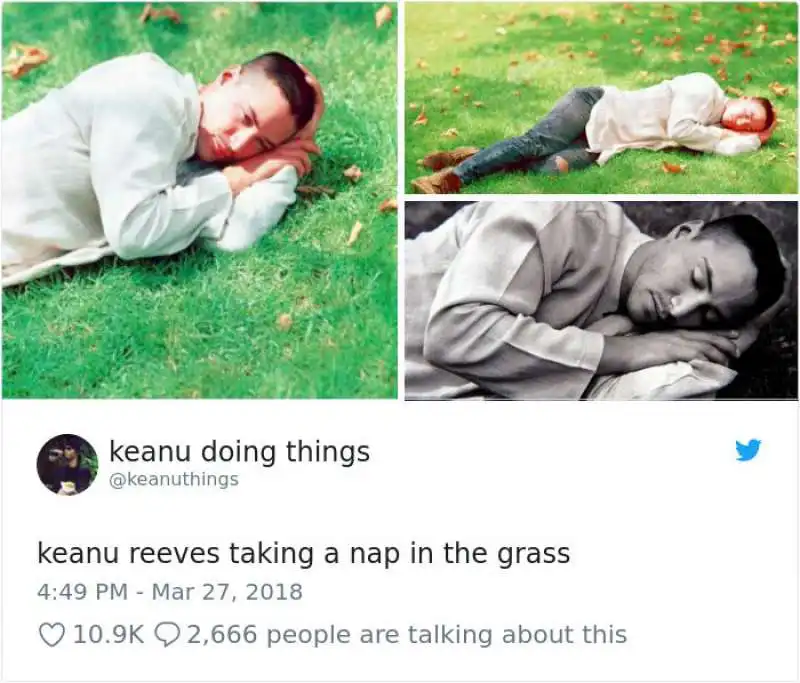 keanu reeves dorme sul prato