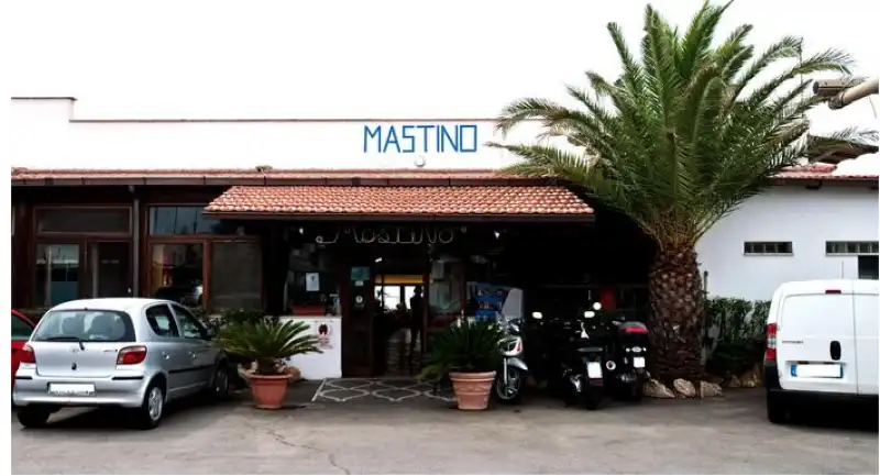 mastino