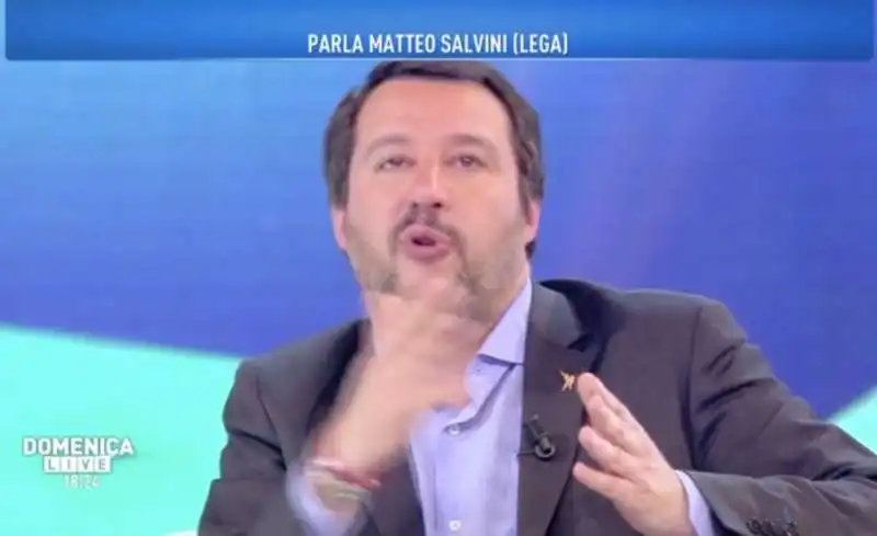 MATTEO SALVINI A DOMENICA LIVE