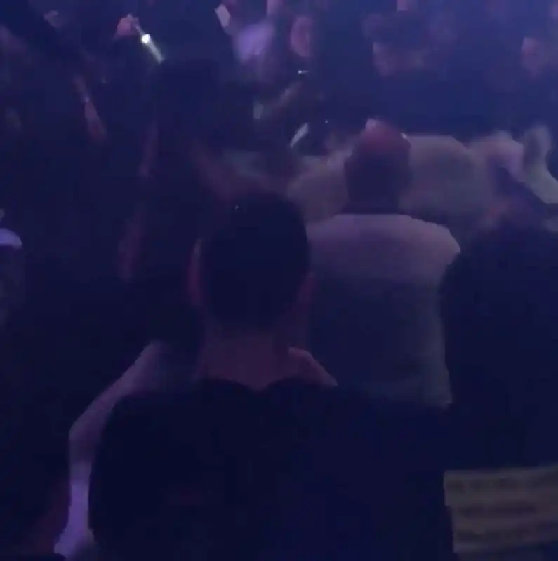 MIAMI - SPETTACOLO CON UN CAVALLO IN UN NIGHTCLUB