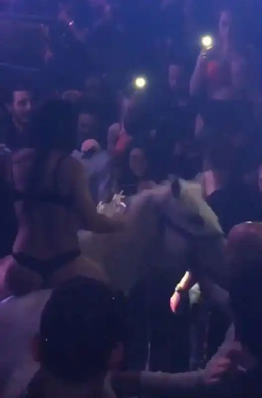 MIAMI - SPETTACOLO CON UN CAVALLO IN UN NIGHTCLUB