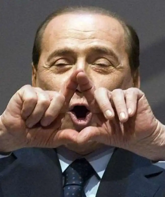 silvio berlusconi   