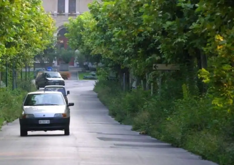 TROVA CAMPORELLA IN VENETO E FRIULI 