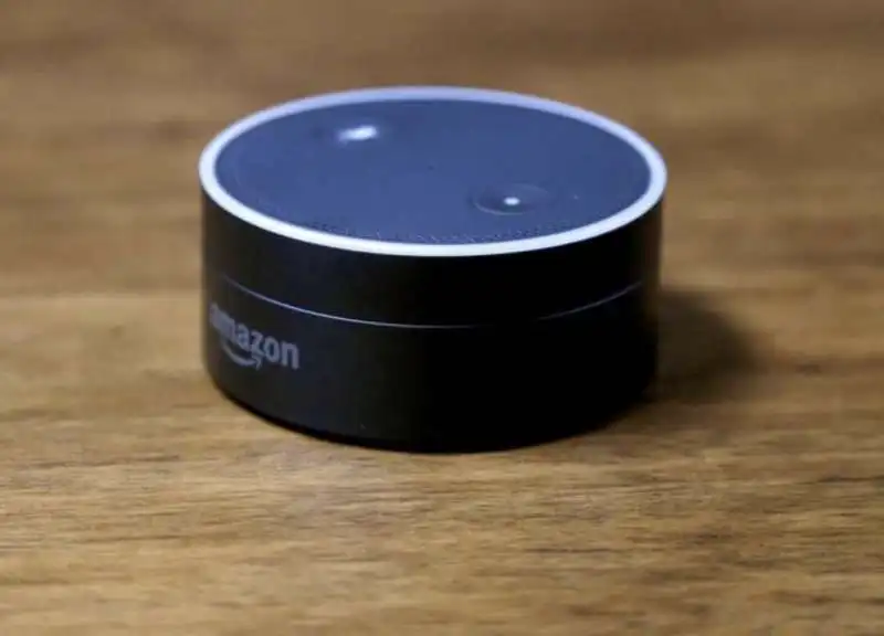 amazon echo   alexa 5