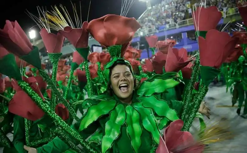 carnevale di rio 12