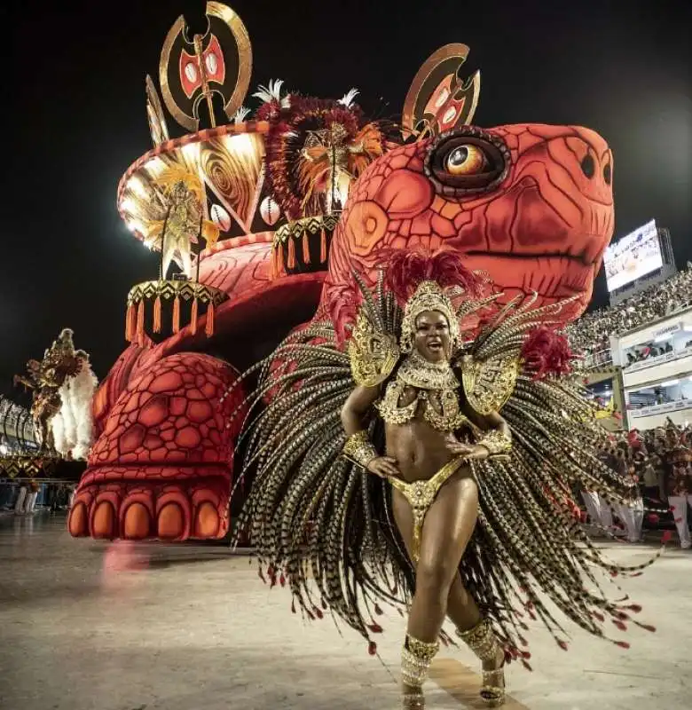 carnevale di rio 19