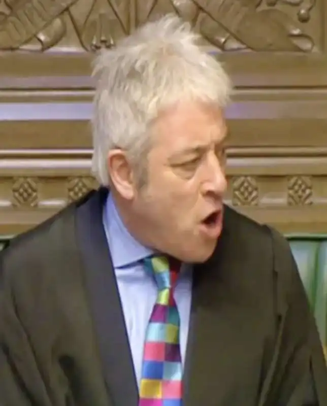 john bercow 16