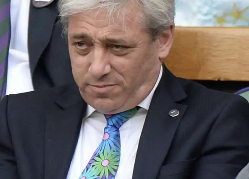 john bercow 5