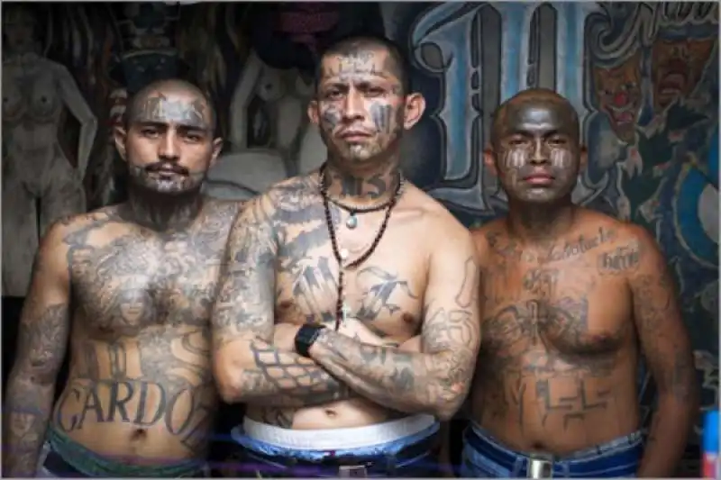 mara salvatrucha gang latinos 1