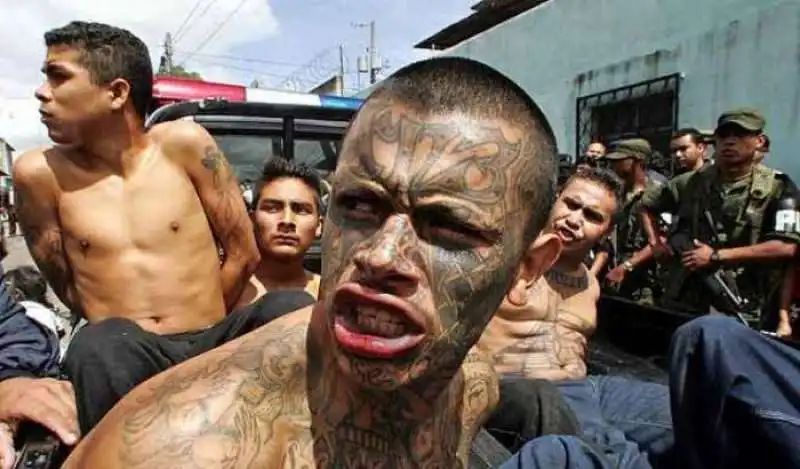 mara salvatrucha gang latinos 5