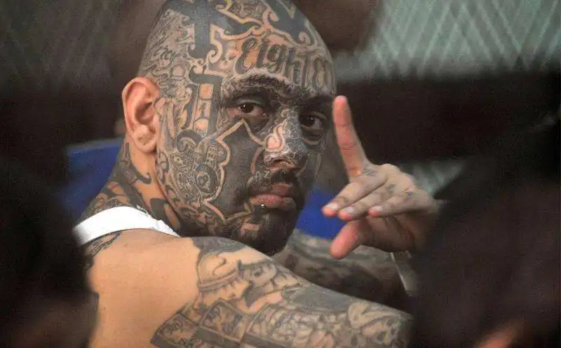 mara salvatrucha gang latinos 6