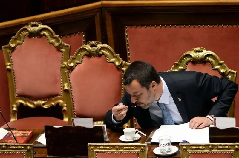 matteo salvini