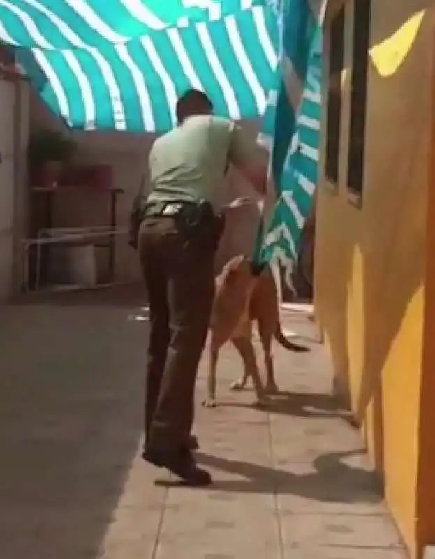 poliziotto aiuta cane 4