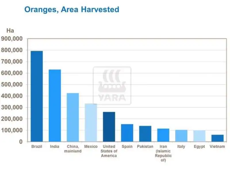 produzione di arance nel mondo