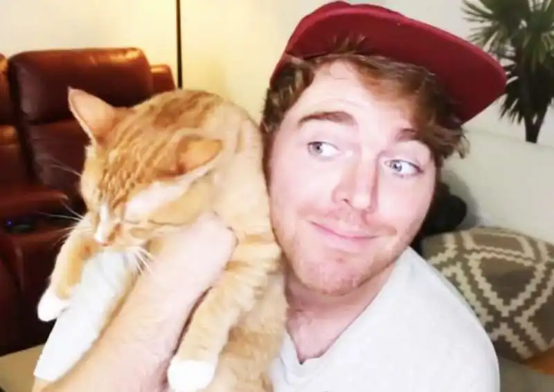 shane dawson e il suo gatto 10