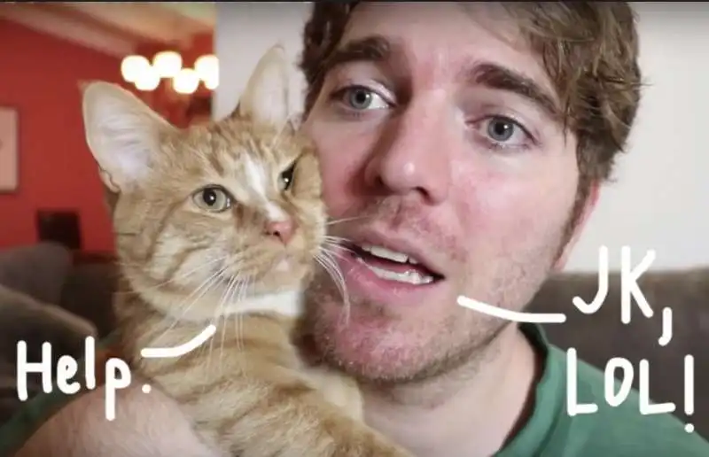 shane dawson e il suo gatto 14