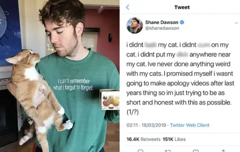 shane dawson e il suo gatto 2