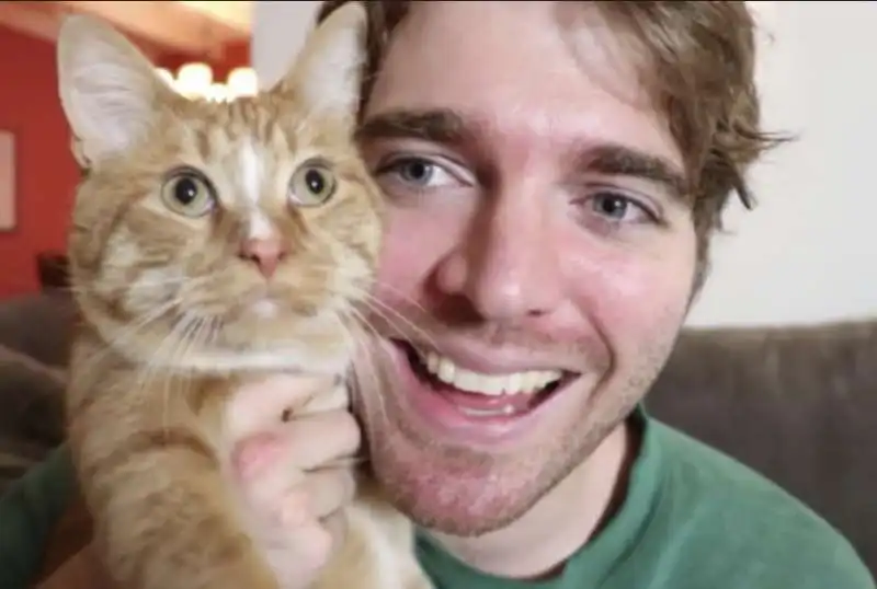 shane dawson e il suo gatto 6