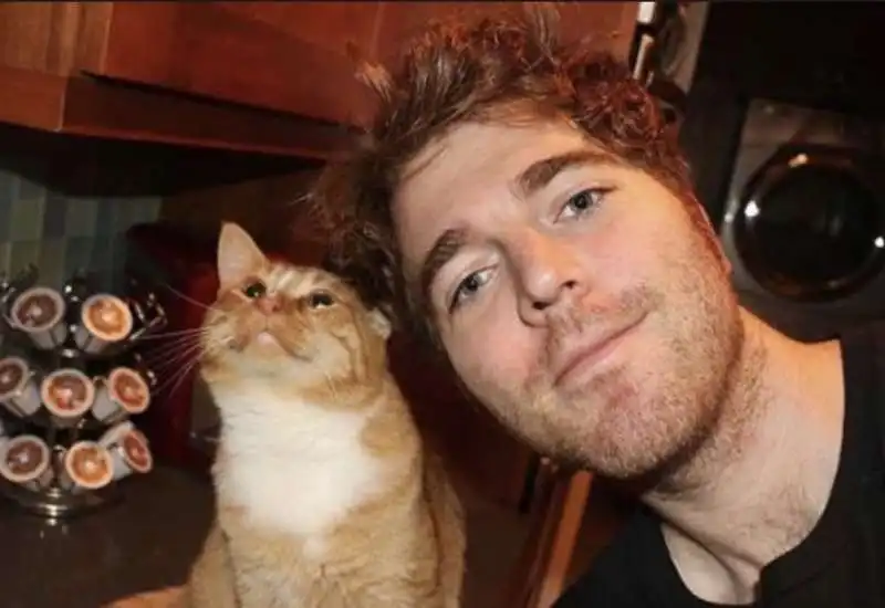 shane dawson e il suo gatto 7