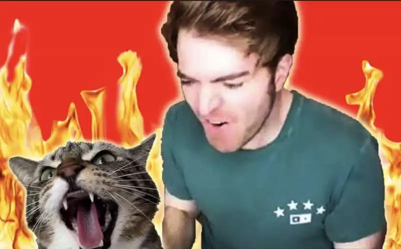 shane dawson e il suo gatto 9