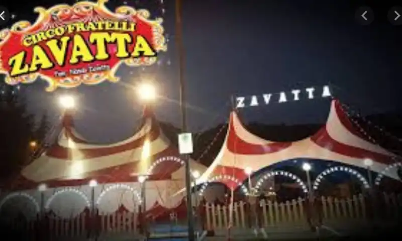 circo zavatta