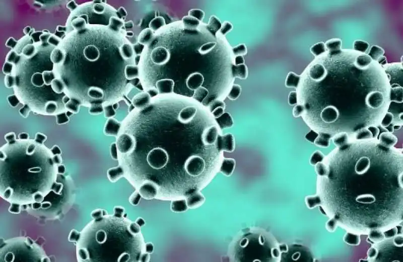 CoronaVirus