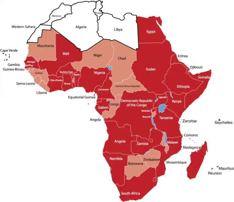 dengue in africa