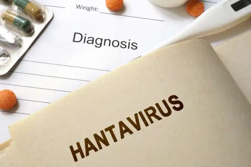 hantavirus 2