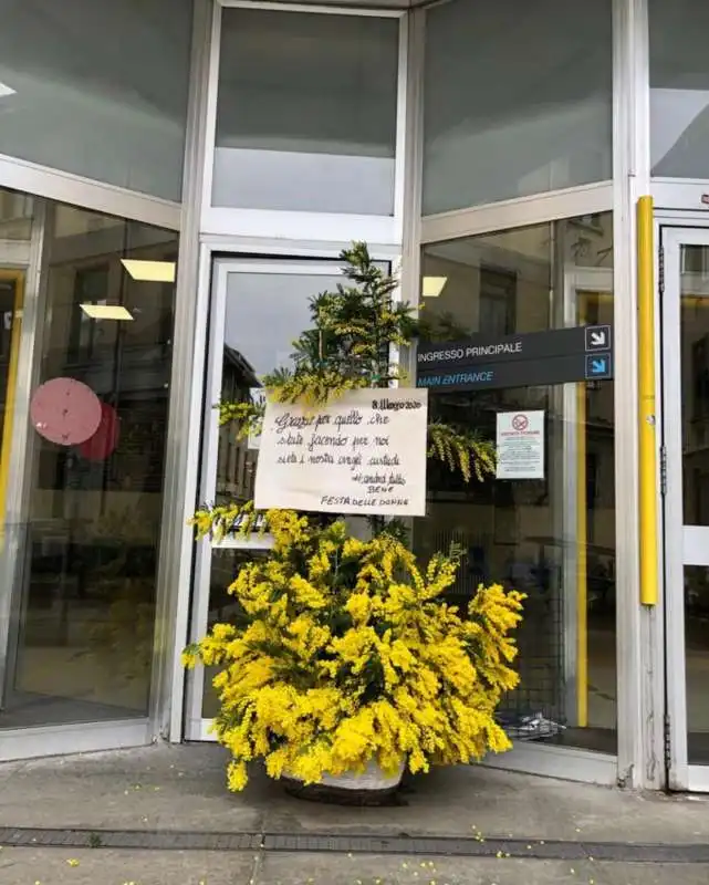 LE MIMOSE INVIATE DA LAPO ELKANN ALL OSPEDALE DI TORINO